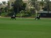 Emaar Polo Cup 2025 – Noon Polo vs Bin Drai – Highlights