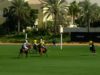 Emaar Polo Cup Semifinal 2025 – AM Polo vs Noon Polo – Highlights