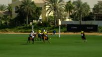 Emaar Polo Cup Semifinal 2025 – AM Polo vs Noon Polo – Highlights