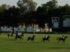 Emirates Polo Championship Semifinal 2025 – Ghantoot Polo vs Bin Drai – Highlights