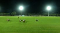 Ghantoot International Polo Championship 2025 – Habtoor Polo vs Uae Polo